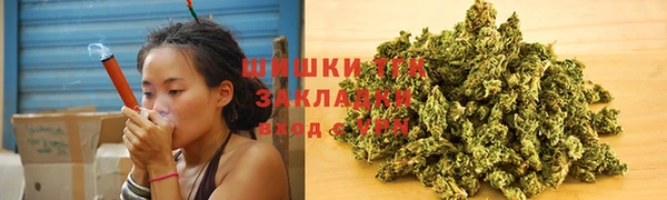 индика Арсеньев