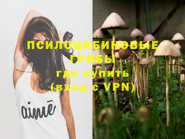 индика Арсеньев