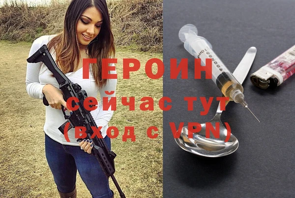 индика Арсеньев