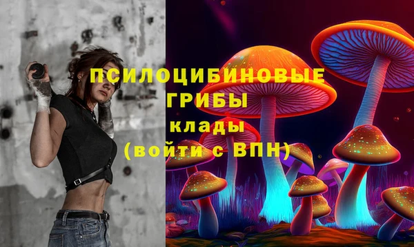 индика Арсеньев