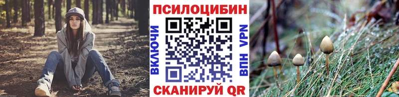 Псилоцибиновые грибы Psilocybe  Покачи 